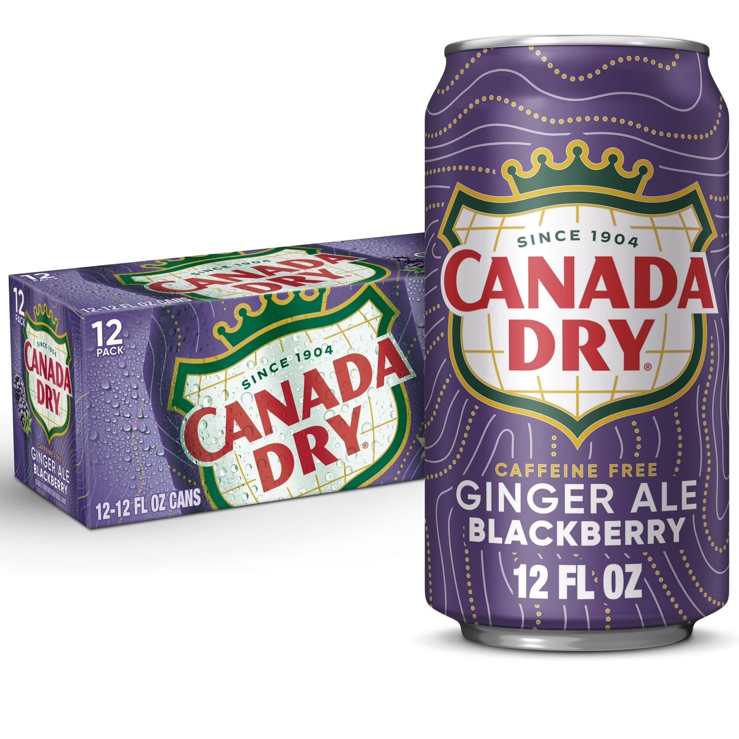 Ginger Ale Blackberry (24-Pack, 12 oz)