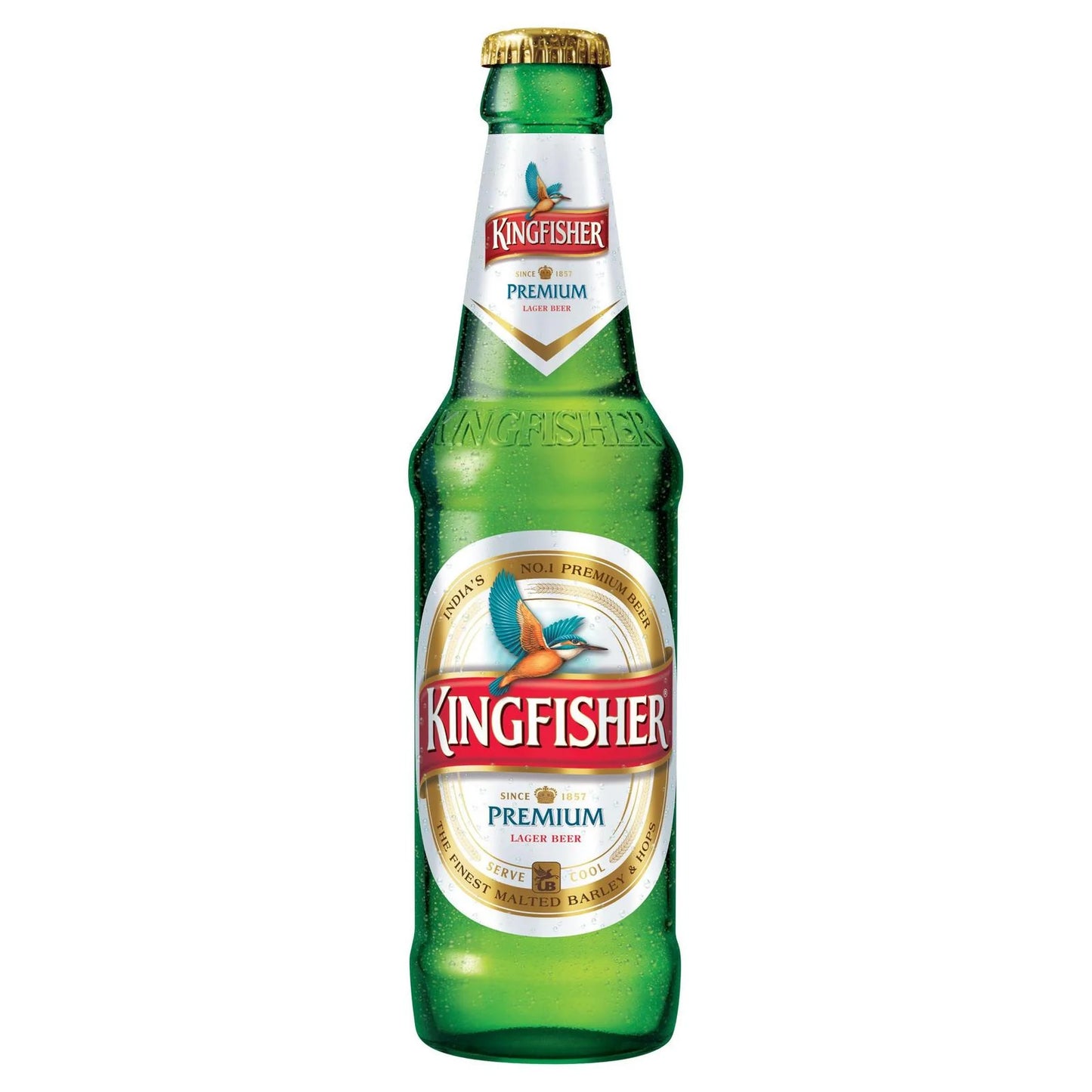 Kingfisher Beer (24-Pack, 12 oz)