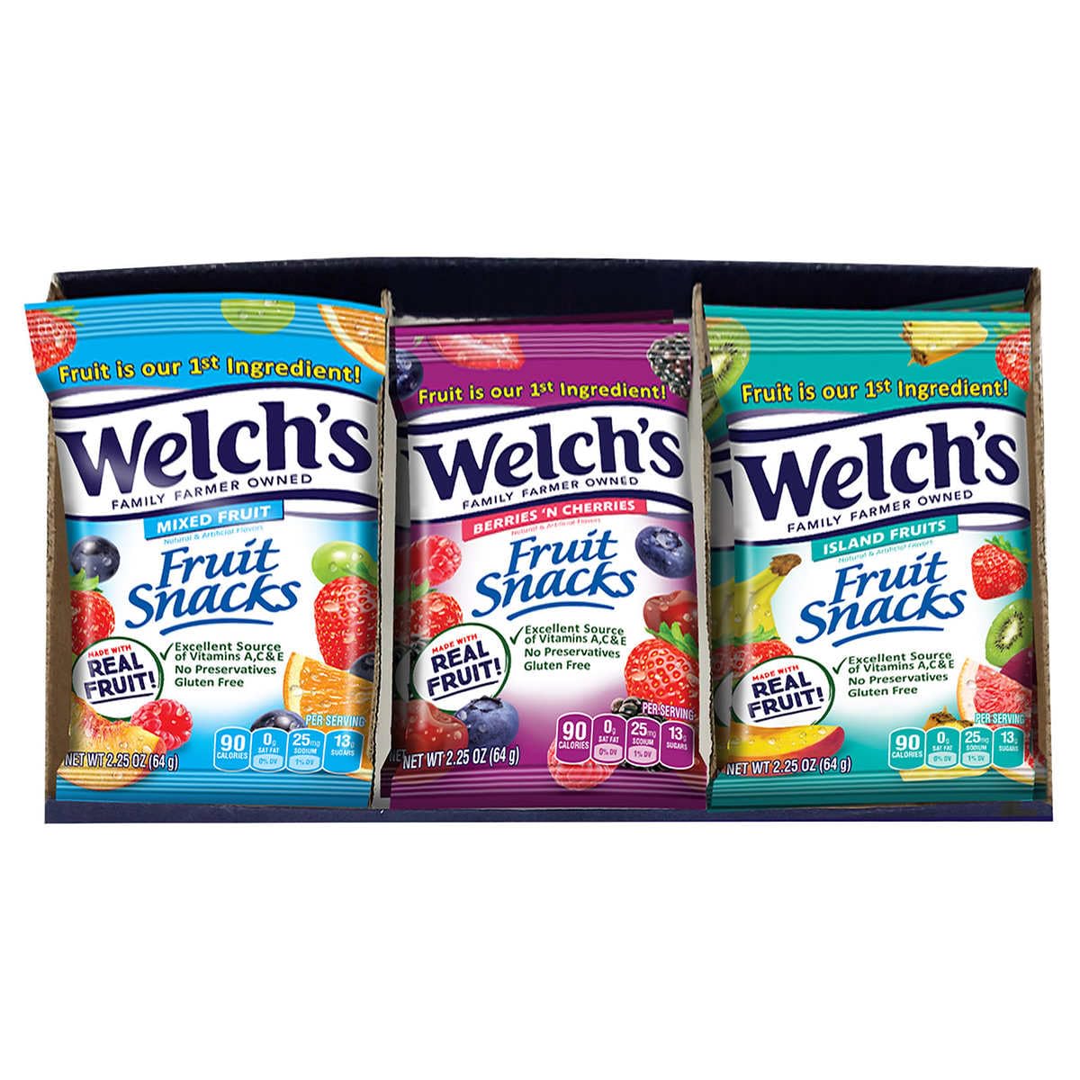 Welch Fruit Snack Variety pack (16-Pack, 2.25 oz)